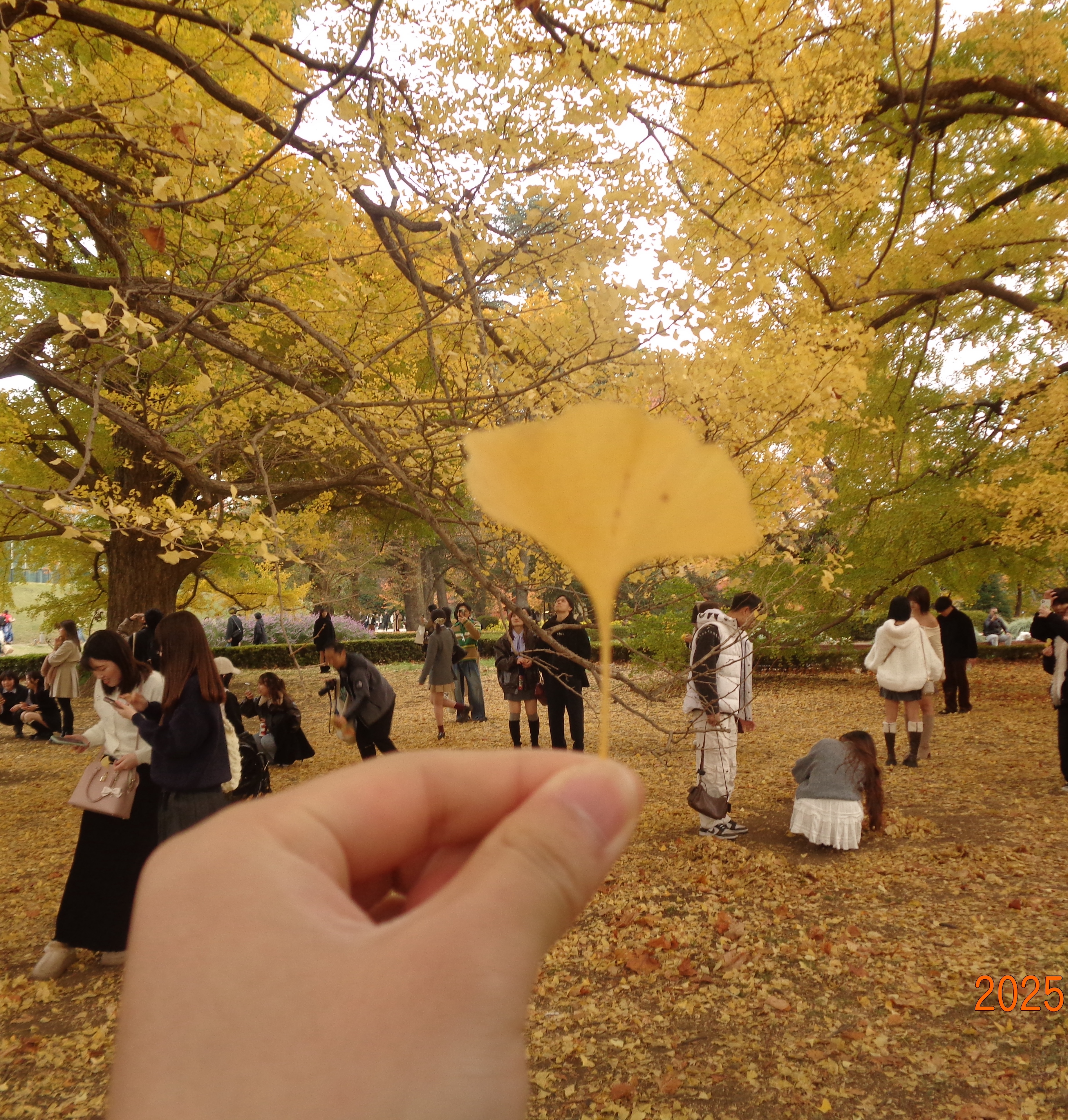 プロフィール画像